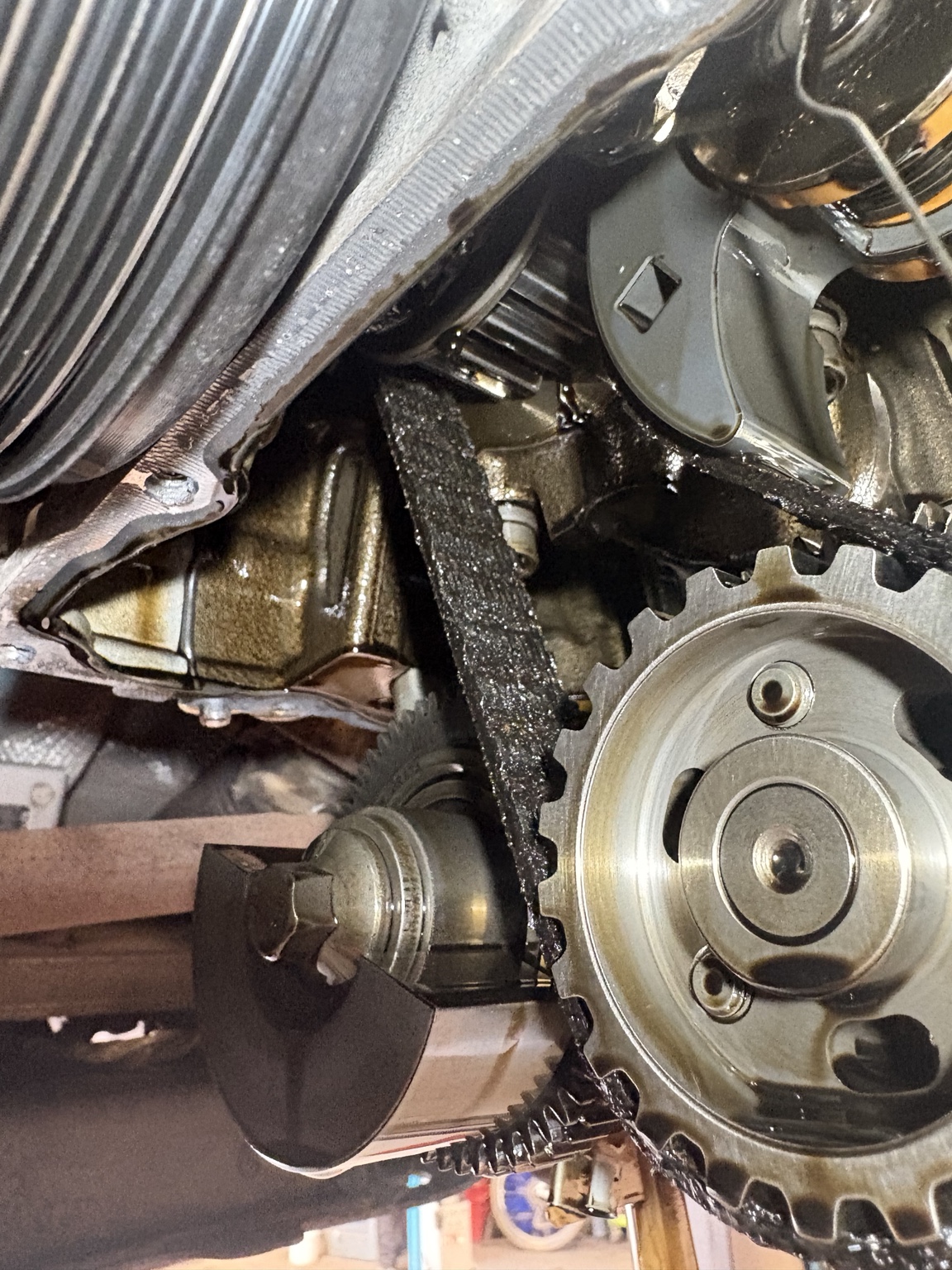 Close-up of damaged wet timing belt