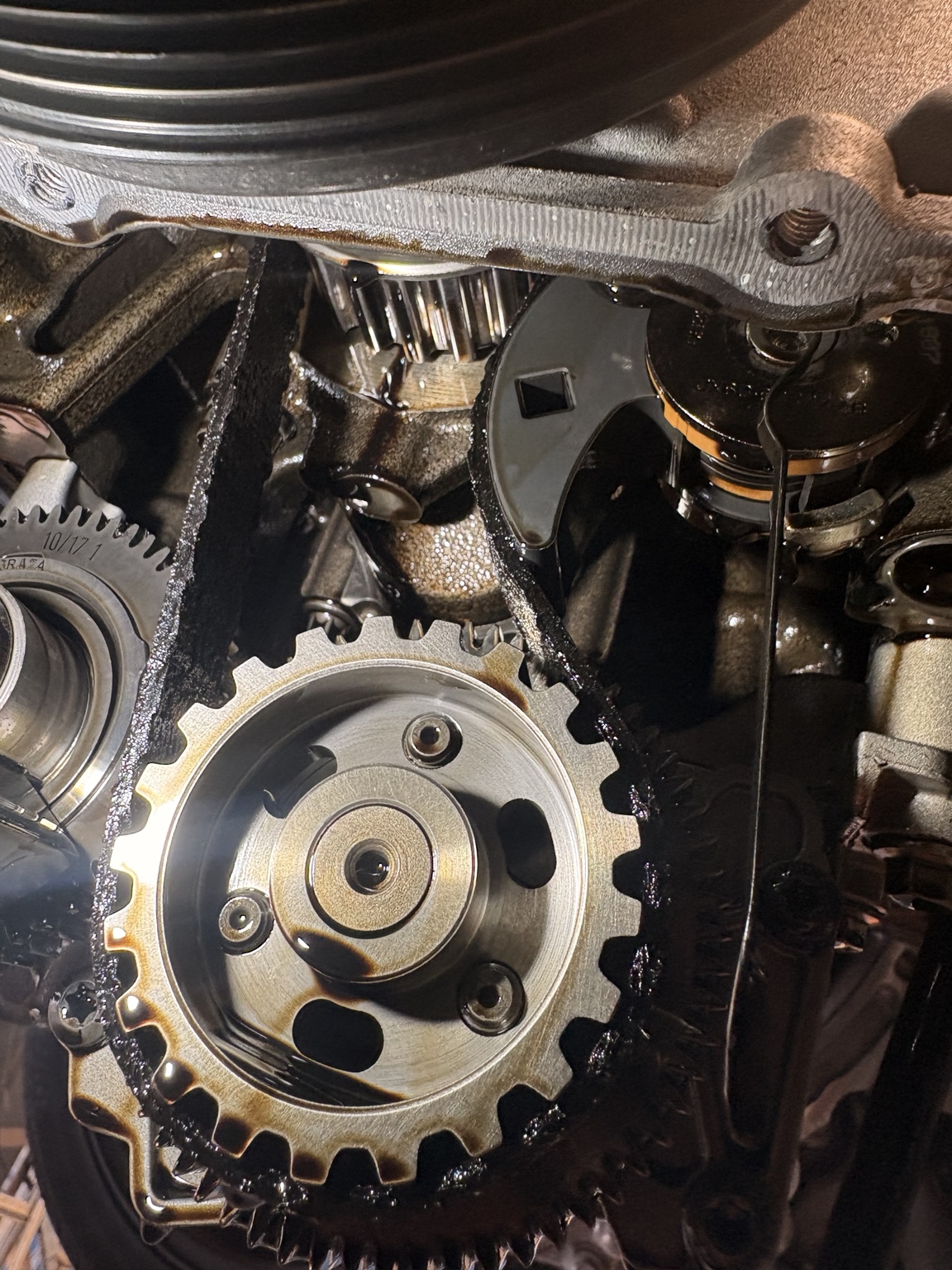 Degraded wet timing belt inspected at Woodhouse Brothers