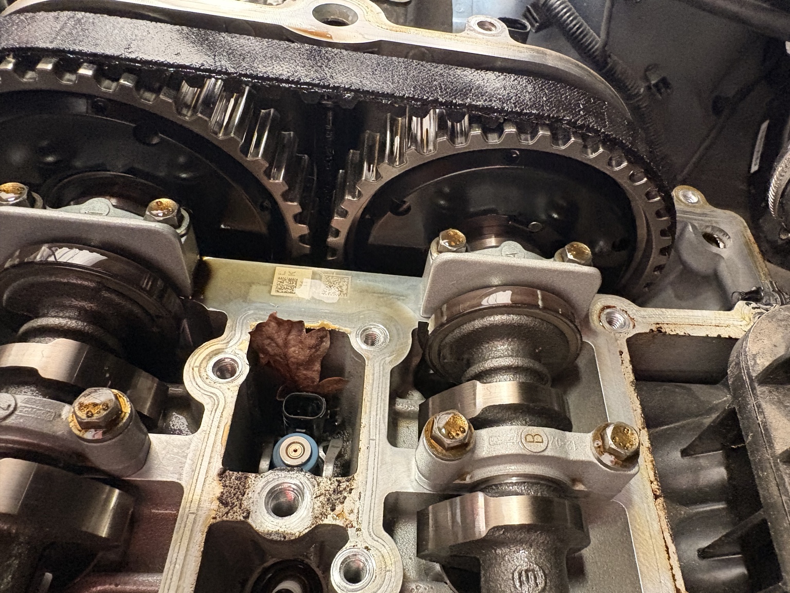 Deteriorated wet timing belt